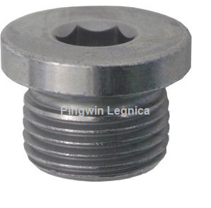 SPUST OLEJU SKRZYNI BIEGÓW 1000 3234756  3234755